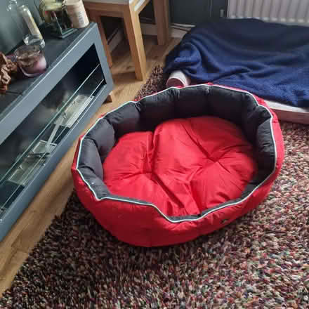 Photo of free 3 peaks dog bed (Moresby Parks CA28) #1