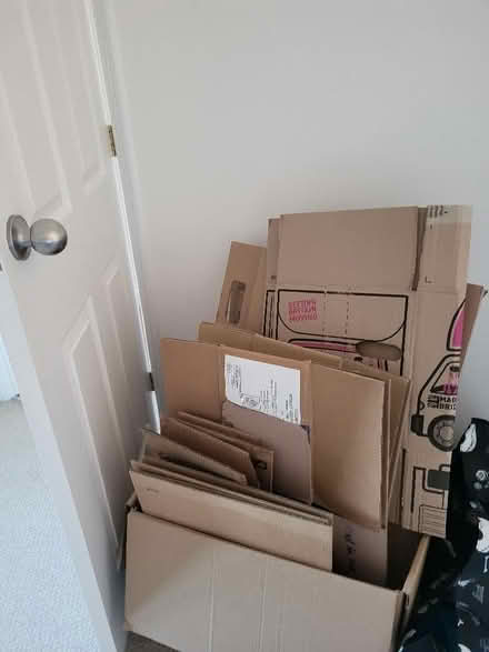 Photo of free Moving Boxes (Gunton NR32) #1
