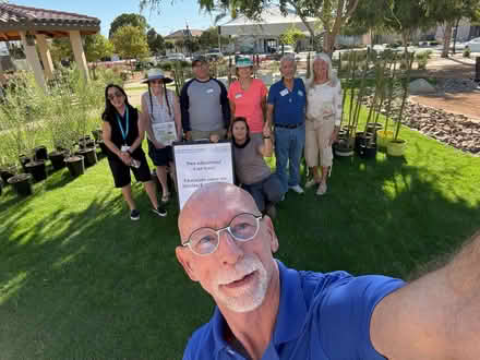 Photo of free Shade Trees in 5-Gal. Pots (Coachella Library) #1