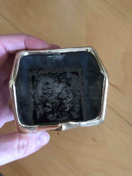Photo of free Small plant pot (Forest Hill SE23) #2