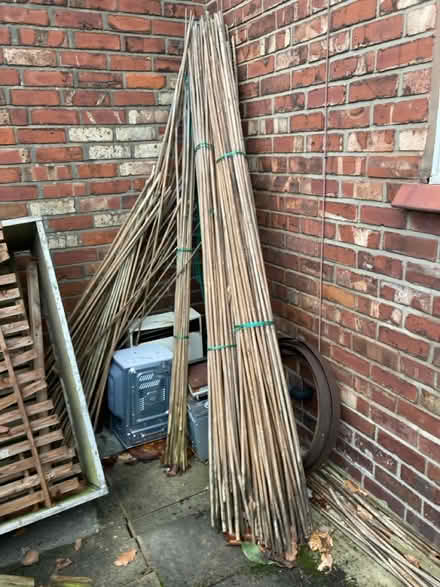 Photo of free Tall canes (Hale Altrincham WA15) #1