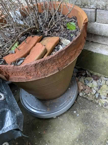 Photo of free 2 large ceramic plant pots (Digmoor WN8) #1