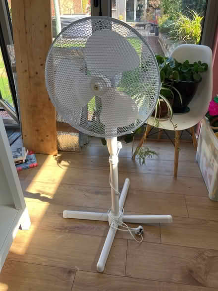 Photo of free Fan (BN41) #1