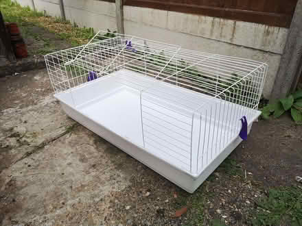 Photo of free Pet cage (Thorpe Hamlet NR1) #2