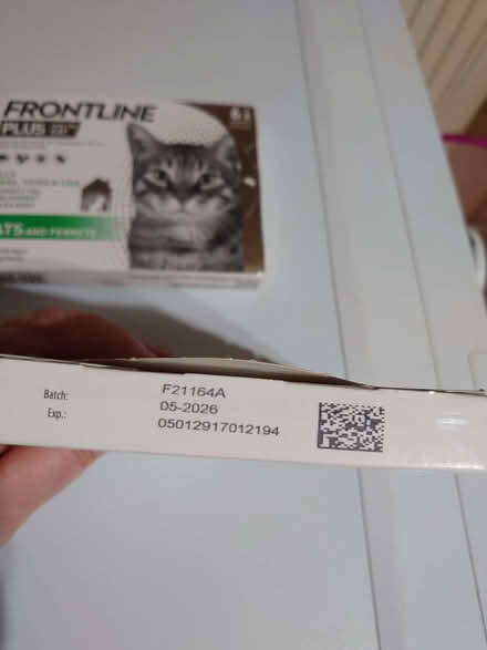 Photo of free Frontline Plus for cats (Basford CW2) #2