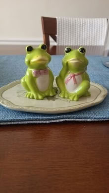 Photo of free Frog Salt & Pepper Shakers Set (20874) #1
