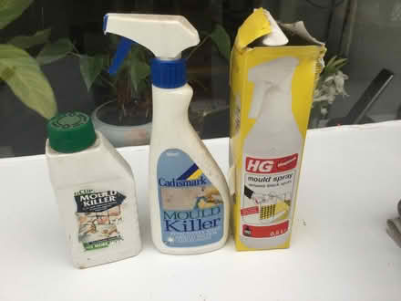 Photo of free Mould killer (Chalfont St Peter SL9) #1
