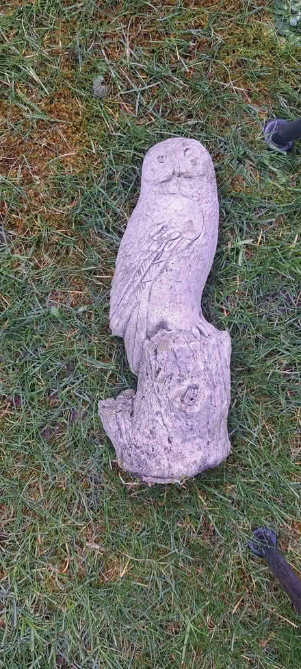 Photo of free Owl figurine for garden (Benfield Valley BN41) #1