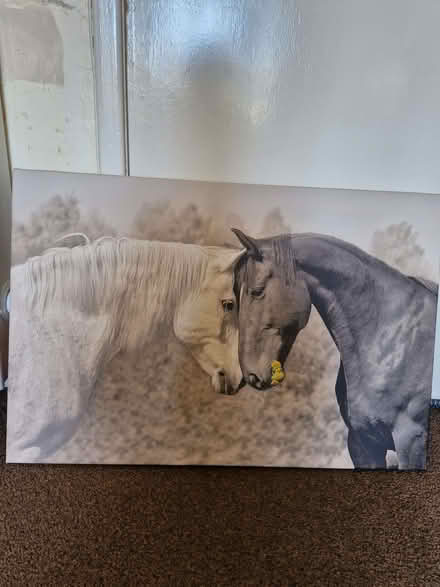 Photo of free Spring Clearout * (Currie EH14) #1