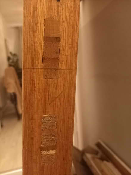 Photo of free Timber door (Victoria Park M14) #2