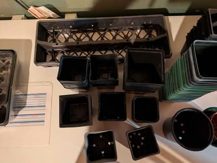 Photo of free Collection of Seedling Start Pots (Sylvan Township Near Chelsea) #2