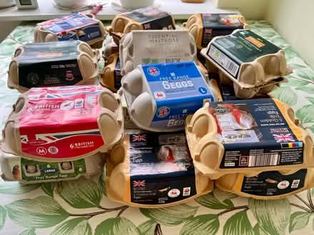 Photo of free Large Amount of Egg Boxes (Studley B80) #1