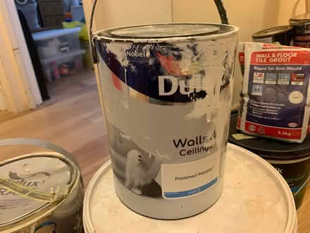 Photo of free Paint and tile adhesive (West Hampstead NW2) #4