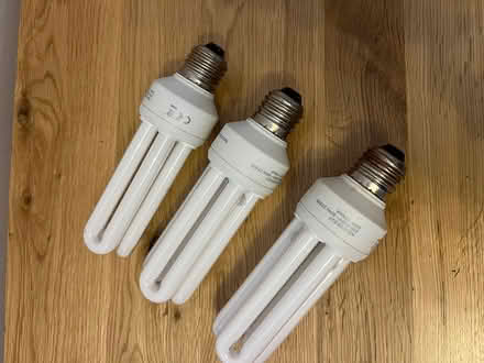 Photo of free Low energy bulbs (Styvechale) #3