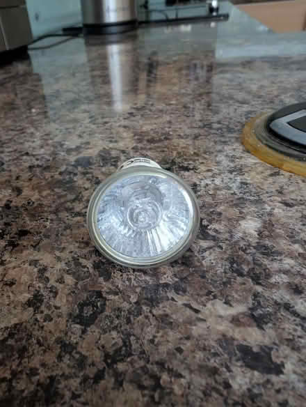 Photo of free Six Mini GU10 halogen light bulbs (Lion Gate TW9) #1