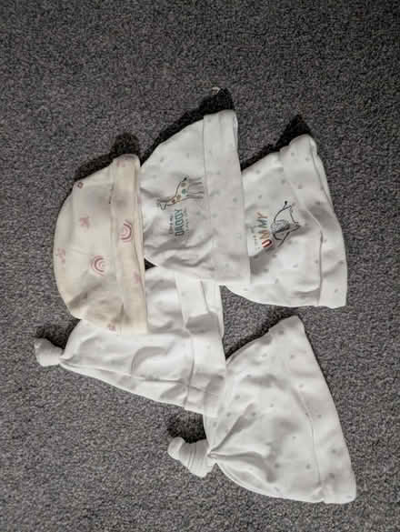 Photo of free New born hats (Cliffe woods, Rochester) #1