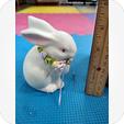 Photo of free ceramic bunny (downtown Downers Grove) #2