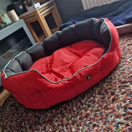 Photo of free 3 peaks dog bed (Moresby Parks CA28) #2