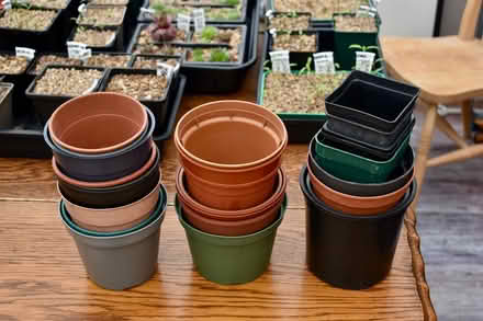 Photo of free Clean plant pots (Hatfield AL10) #1