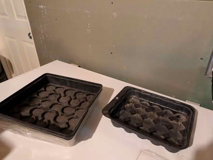 Photo of free Collection of Seedling Start Pots (Sylvan Township Near Chelsea) #4