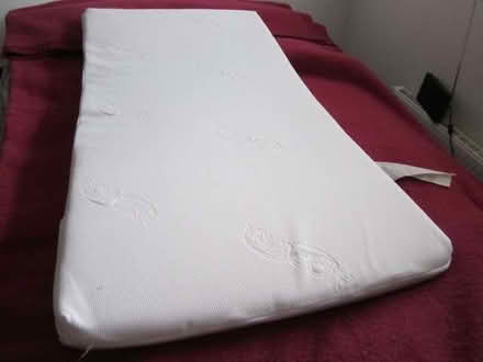 Photo of free Cot Child's Mattress washable cover (Canonbury N1) #4