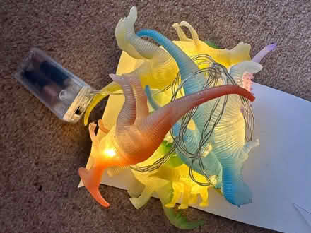 Photo of free Dinosaur String Lights NEW (Kings Langley WD4) #2