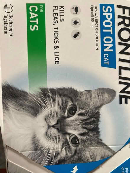 Photo of free cat flea and tick treatment (Lochend EH6) #1
