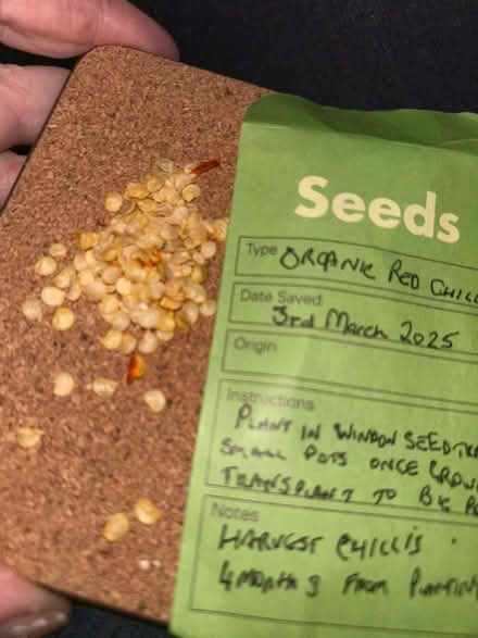 Photo of free Organic non Non GM Red Chilli seeds (OX7 Chipping Norton) #1