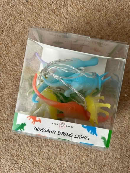 Photo of free Dinosaur String Lights NEW (Kings Langley WD4) #1