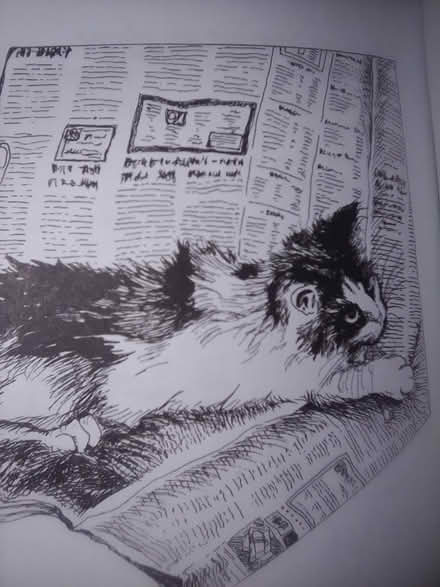Photo of free B- "Why Cats Do That" 10031 (Hamilton Heights 10031) #2