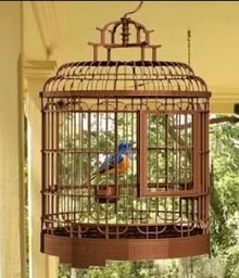 Photo of bird cage (Highams Park E4) #1