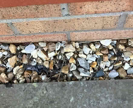 Photo of free Garden stones (Tarleton PR4) #1