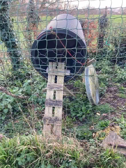 Photo of free Chicken houses HR2 (Herefordshire HR2) #3