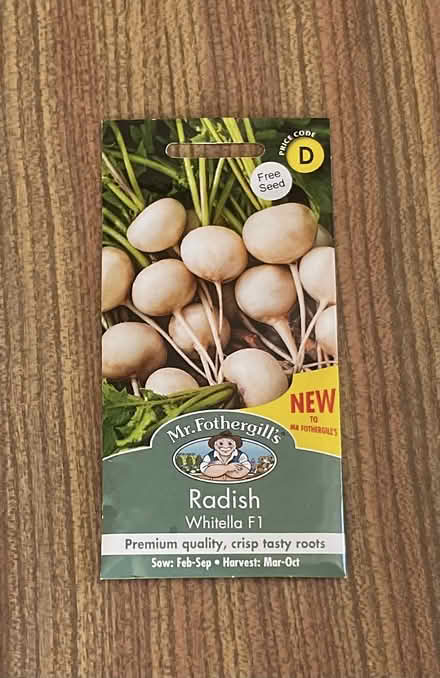 Photo of free White Radish Seeds (HAILSHAM, north east. BN27) #1