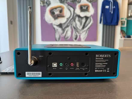 Photo of free Robert’s DAB radio (Weybridge, KT13) #4