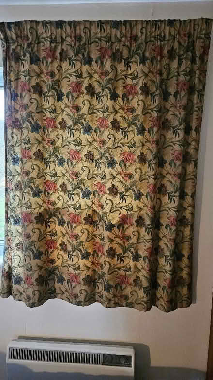 Photo of free Curtains (Frenchay BS16) #1