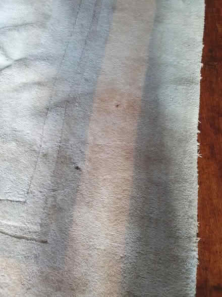 Photo of free Rug 140cm x 200cm (Moseley B13) #2