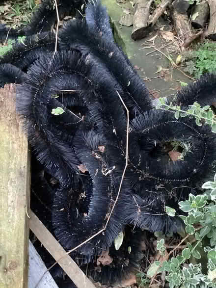 Photo of free Hedgehog gutter protector (Ashton-U-Lyne OL7) #1
