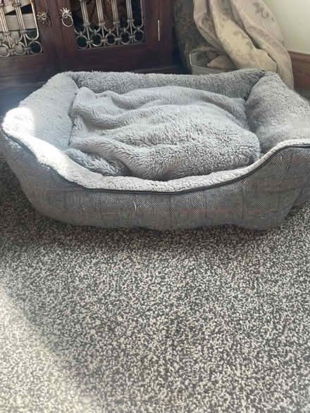 Photo of free Pet Bed (Cullingworth BD13) #2