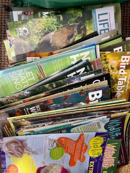 Photo of free Large stack of wildlife and national geographic magazines (Stainton CA11) #1