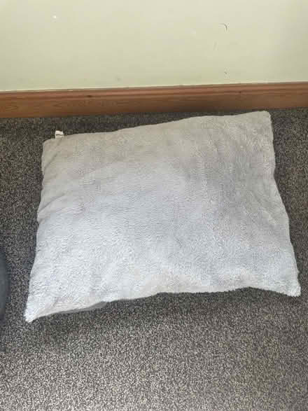 Photo of free Pet Pillow (Cullingworth BD13) #1