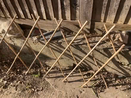 Photo of free 3 garden trellis (Southend-on-sea SS1) #3