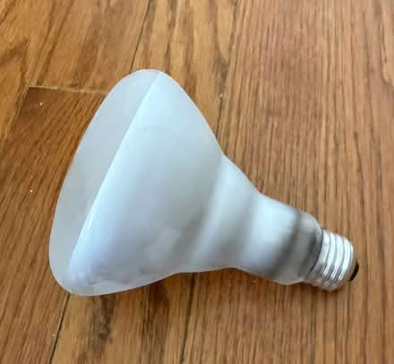 Photo of free 4 Incandescent Bulbs (Inman Square) #1