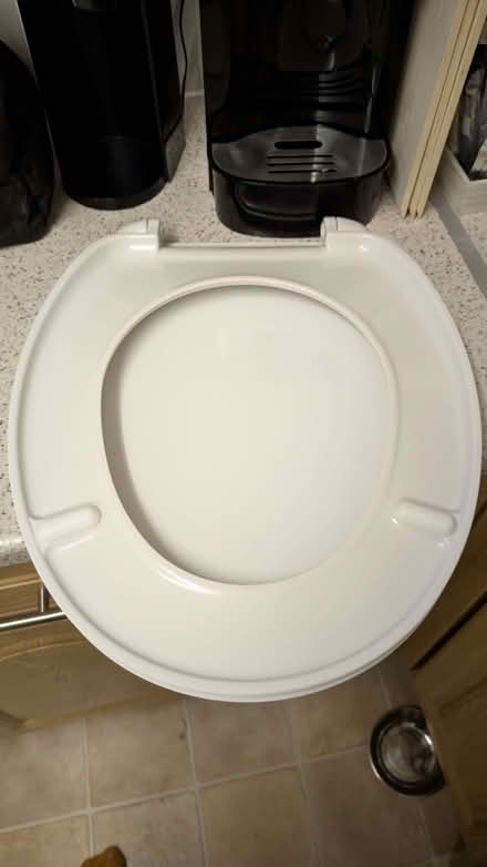 Photo of free White Toliet Seat (Sterilised & Clean) (Belle Vue WF1) #1