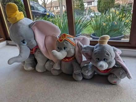Photo of free Cuddly toys (Leybourne) #1