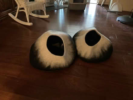 Photo of free Pet Products (Town and Country) #1