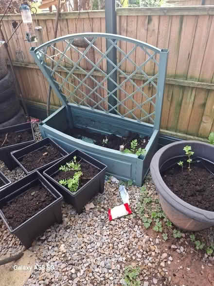 Photo of free Green box (Westgate LA4) #2