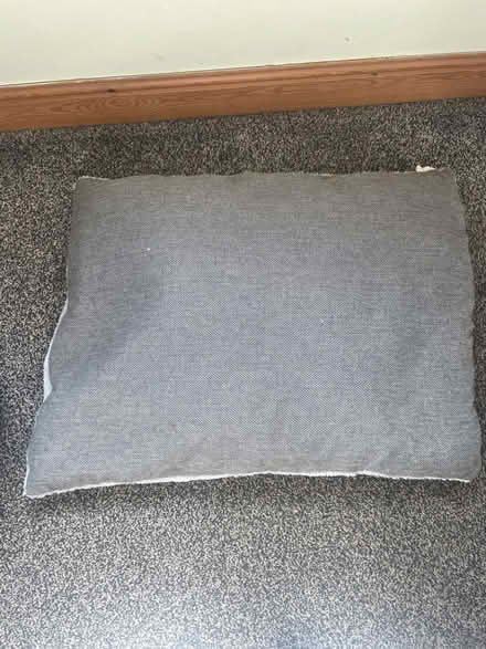 Photo of free Pet Pillow (Cullingworth BD13) #3