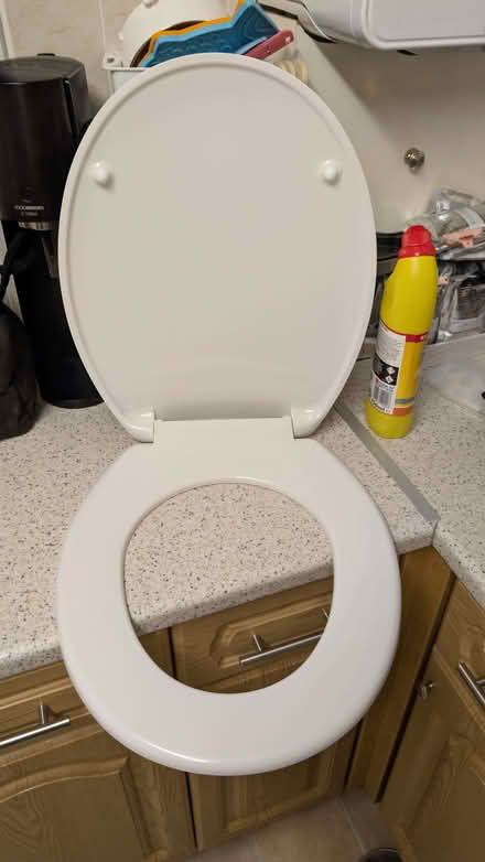 Photo of free White Toliet Seat (Sterilised & Clean) (Belle Vue WF1) #3