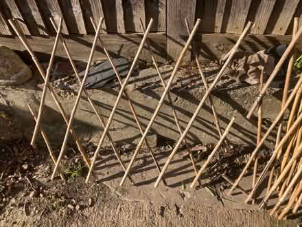 Photo of free 3 garden trellis (Southend-on-sea SS1) #2